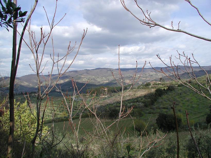 Апартаменти Agriturismo Podere La Casa Panzano in Chianti Екстер'єр фото